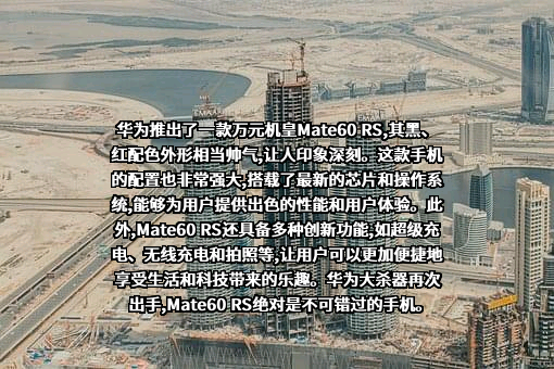 华为技术有限公司