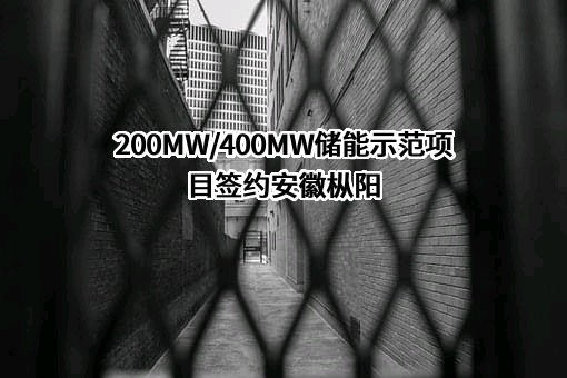 安徽得壹能源科技有限公司