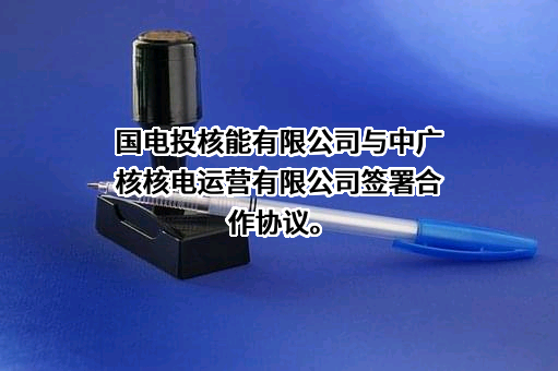 国电投核能有限公司