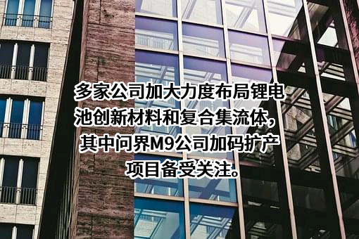 上海璞泰来新能源科技股份有限公司