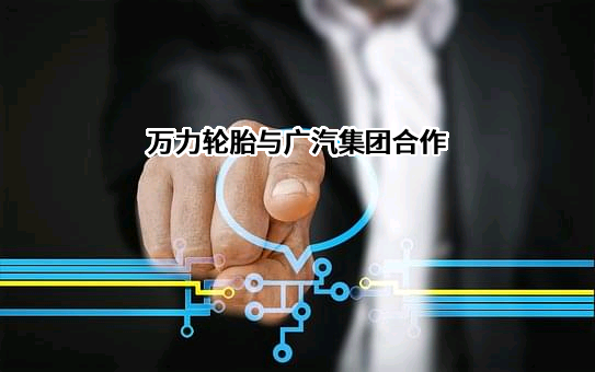 合肥万力轮胎有限公司