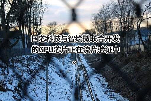 苏州国芯科技股份有限公司