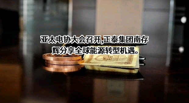 正泰集团股份有限公司