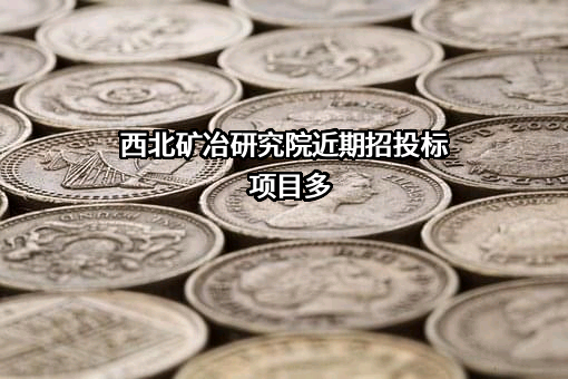 西北矿冶研究院