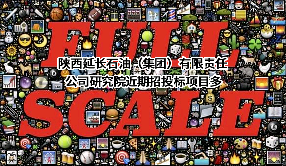 陕西延长石油（集团）有限责任公司研究院