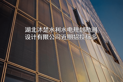 湖北沐楚水利水电规划勘测设计有限公司