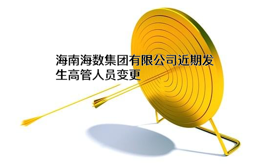 海南海数集团有限公司