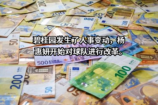 碧桂园控股有限公司