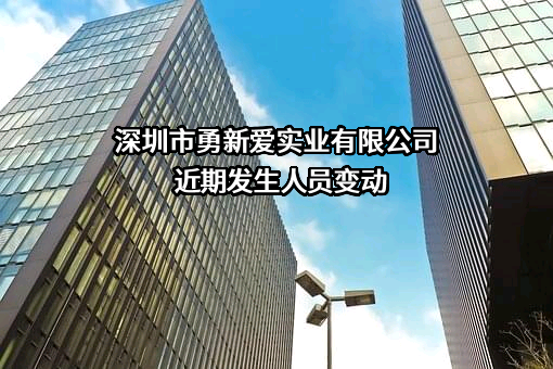 深圳市勇新爱实业有限公司