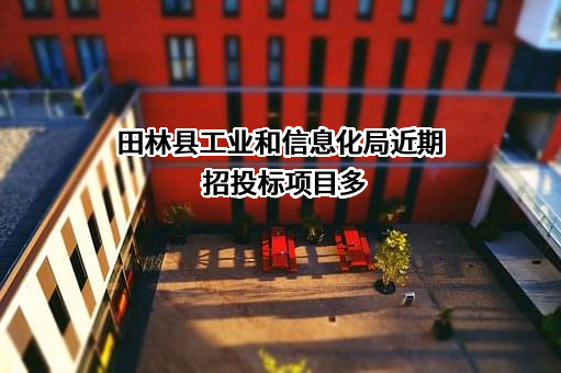 田林县工业和信息化局