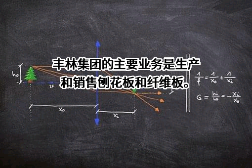 广西丰林木业集团股份有限公司