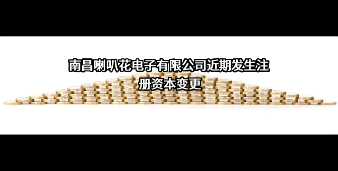 南昌喇叭花电子有限公司