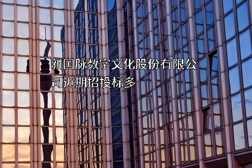 新国脉数字文化股份有限公司