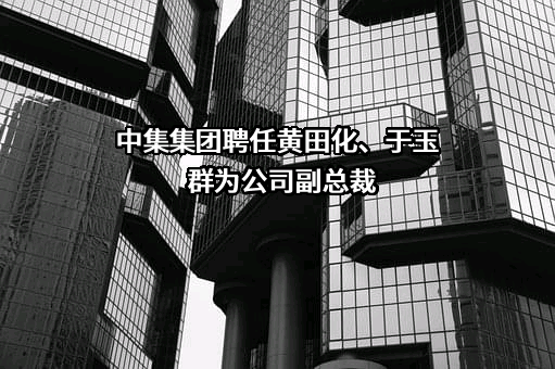 中国国际海运集装箱（集团）股份有限公司