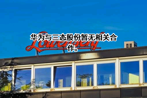 深圳市三态电子商务股份有限公司