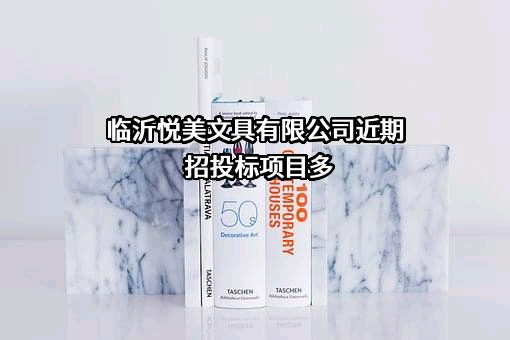 临沂悦美文具有限公司