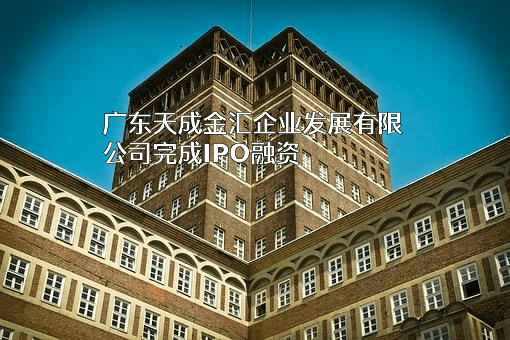 广东天成金汇企业发展有限公司