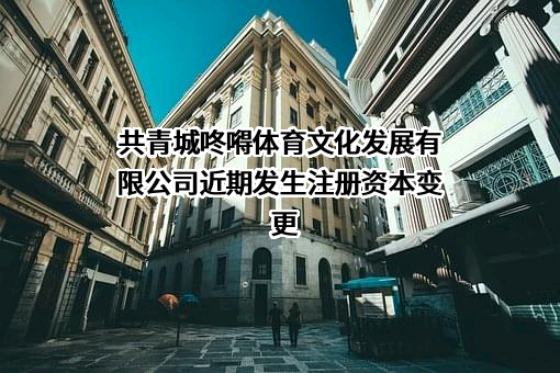 共青城咚嘚体育文化发展有限公司