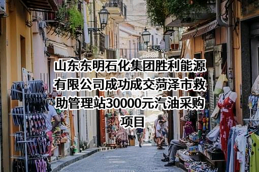 山东东明石化集团胜利能源有限公司成功成交菏泽市救助管理站30000元汽油采购项目