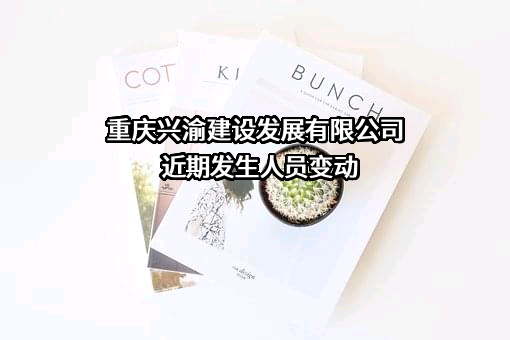 重庆兴渝建设发展有限公司