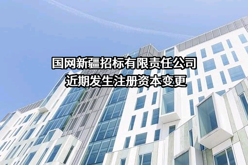 国网新疆招标有限责任公司