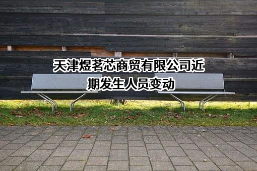 天津煜茗芯商贸有限公司