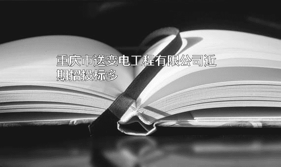重庆市送变电工程有限公司