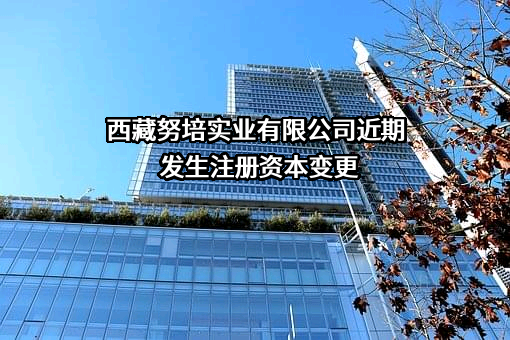 西藏努培实业有限公司