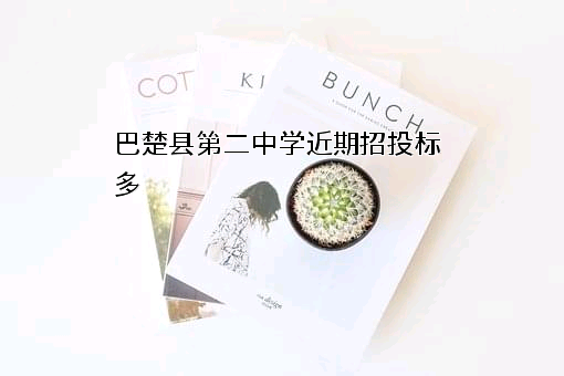 巴楚县第二中学