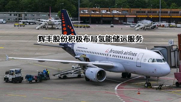 江苏辉丰石化有限公司