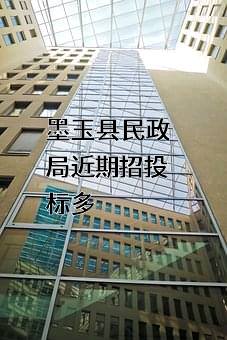 墨玉县民政局近期招投标项目多