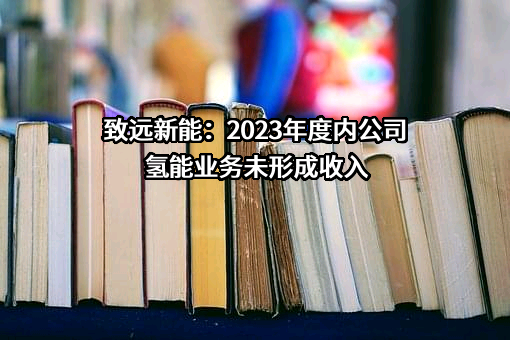 致远新能：2023年度内公司氢能业务未形成收入