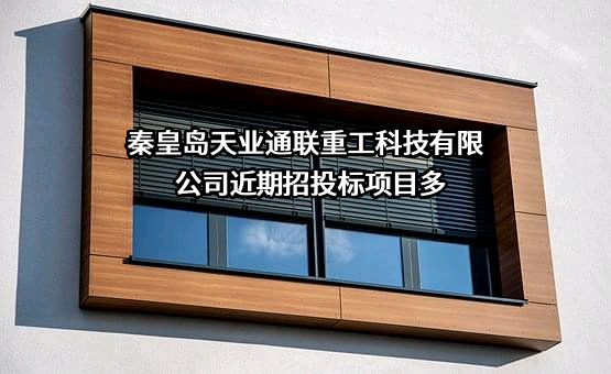 秦皇岛天业通联重工科技有限公司