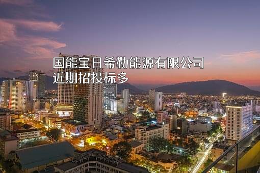 国能宝日希勒能源有限公司