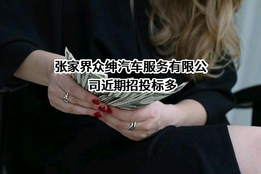 张家界众绅汽车服务有限公司