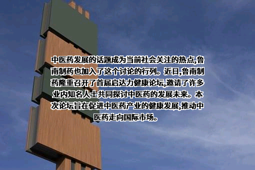 鲁南制药集团股份有限公司