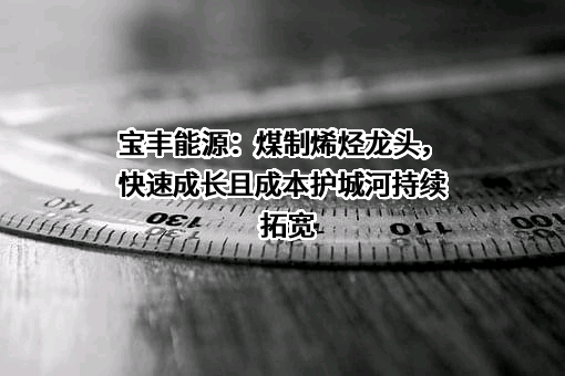 宁夏宝丰能源集团股份有限公司