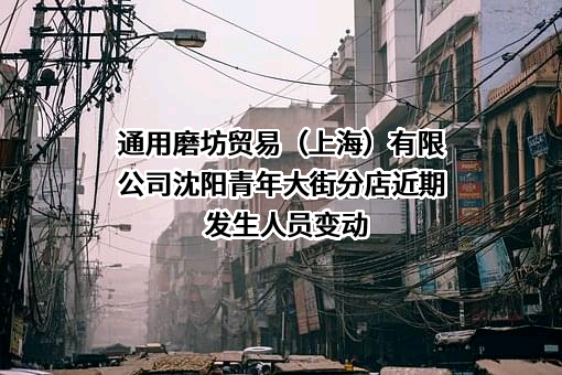 通用磨坊贸易（上海）有限公司沈阳青年大街分店