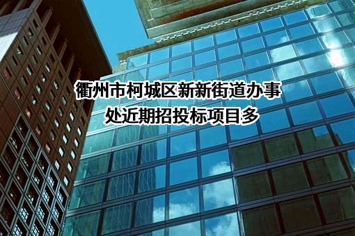 衢州市柯城区新新街道办事处近期招投标项目多