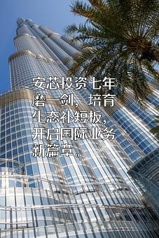 福建省安芯投资管理有限责任公司
