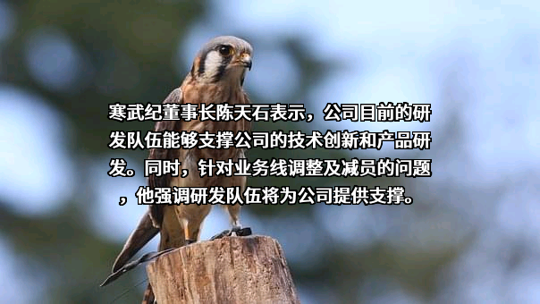 中科寒武纪科技股份有限公司