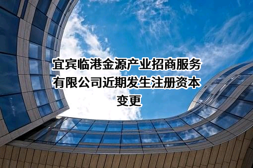 宜宾临港金源产业招商服务有限公司