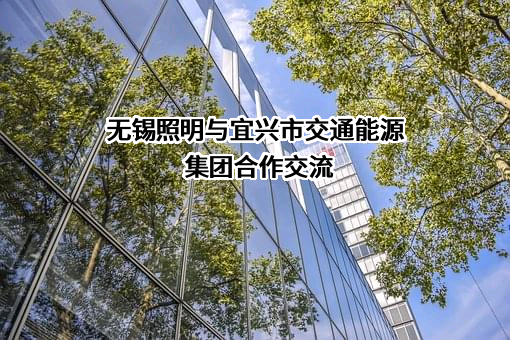 无锡照明股份有限公司