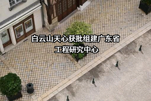 广州白云山天心制药股份有限公司