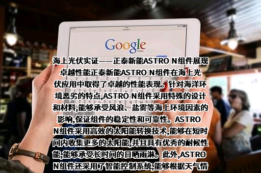 上海正泰新能电源系统有限责任公司