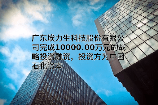 广东埃力生科技股份有限公司