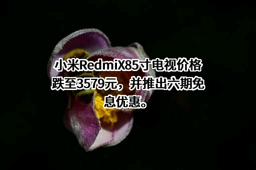 小米科技有限责任公司