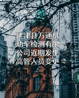 延津县万通机动车检测有限公司