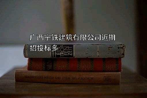 广西宁铁建筑有限公司