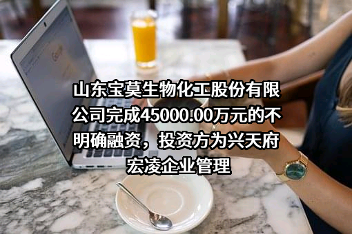 山东宝莫生物化工股份有限公司